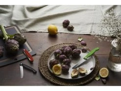 Victorinox Gemüsemesser Swiss Classic Rot -Brack Grill Geschaft 184032748 xxl 1