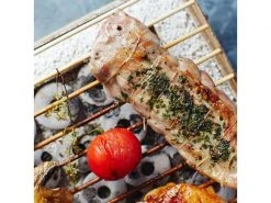 CasusGrill Einweggrill High Stand Paper -Brack Grill Geschaft 194392076 xxl