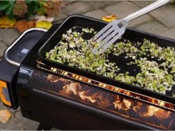 BioLite Grillplatte FirePit + -Brack Grill Geschaft 196165231 xxl