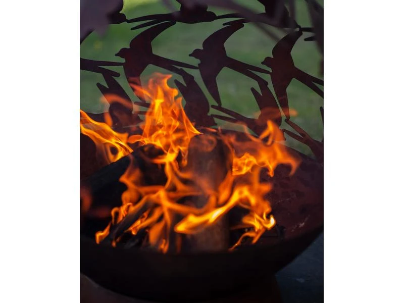 La Hacienda Feuerstelle Swallows 9 La Hacienda Feuerstelle Swallows – Bild 9