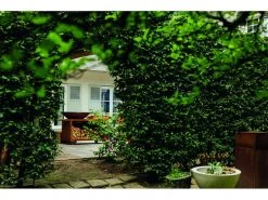 OFYR Feuerstelle Island Corten Ø 100 cm -Brack Grill Geschaft 214736694 xxl