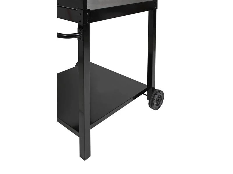 BBQ Dragon Pizzaofen Classic 11 BBQ Dragon Pizzaofen Classic – Bild 11