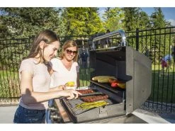 Broil King Gasgrill Signet 320 -Brack Grill Geschaft 57274983 xxl