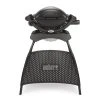 Weber Gasgrill Q 1000 Stand Black