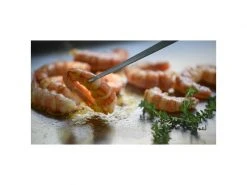 Campingaz Grillzange Premium Plancha Silber -Brack Grill Geschaft 96080541 xxl